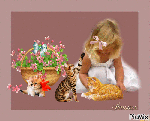 Playing with my cats - GIF animé gratuit