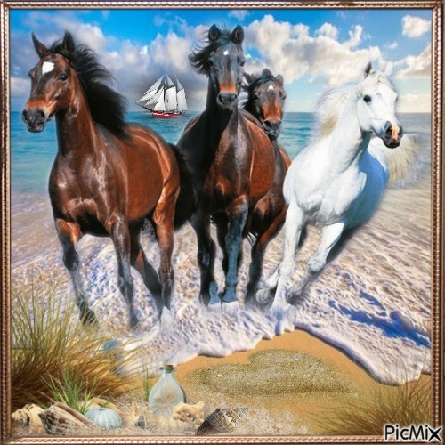 Pferde am Meer - png grátis
