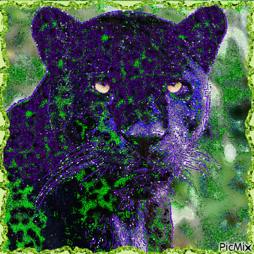 Panther - Darmowy animowany GIF