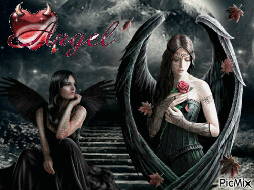 Les anges noirs - Free animated GIF