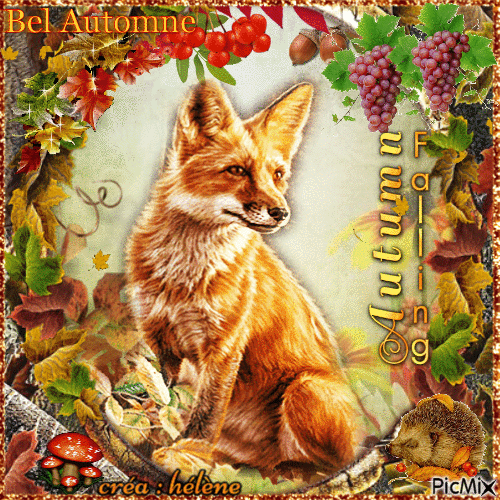 Foxy fête l'automne