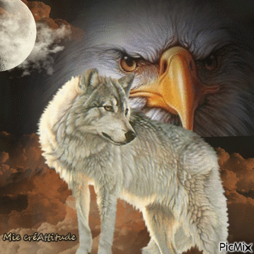 L'aigle & le loup - 免费动画 GIF