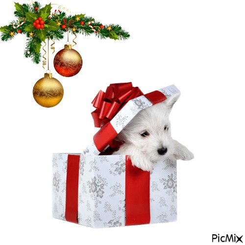 cane natale - 免费PNG