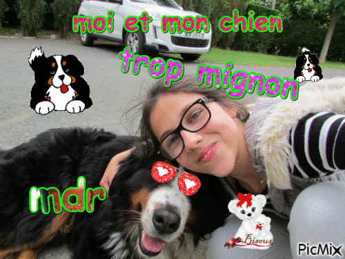 mdr mon chien - Free animated GIF