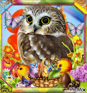 EASTER OWL 5 - GIF animé gratuit