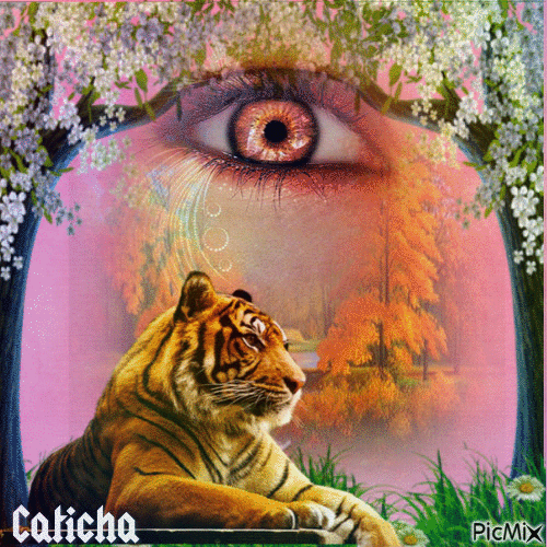 créations-caticha - Δωρεάν κινούμενο GIF