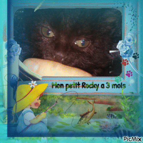 mon petit Rocky bébé - Бесплатный анимированный гифка