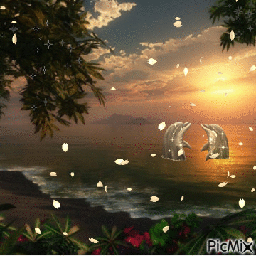 la baie du paradis - Безплатен анимиран GIF