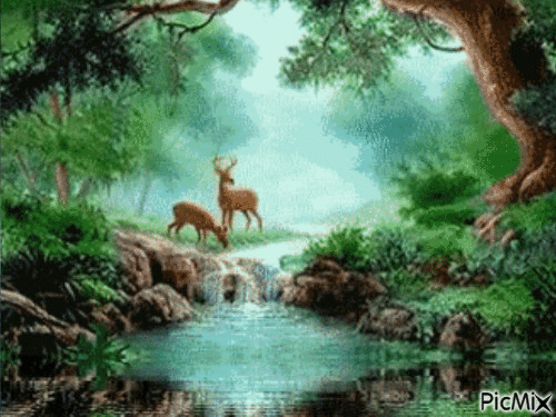 nature - GIF animado gratis