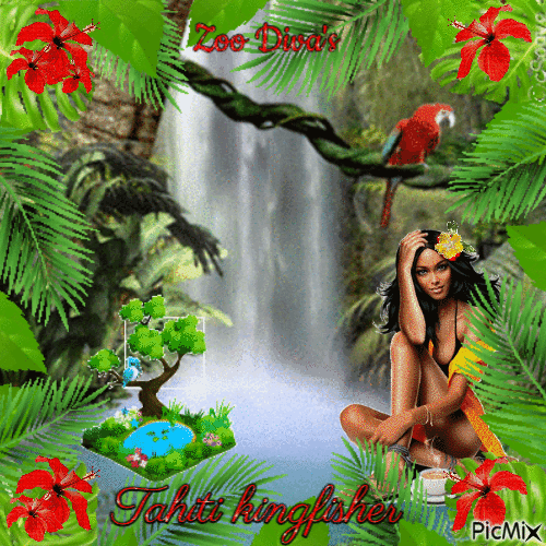 Tahiti kingfisher - Ingyenes animált GIF
