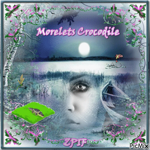 Morelets Crocodile - GIF เคลื่อนไหวฟรี