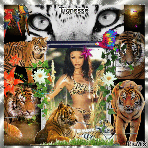 Tigresse - Gratis animerad GIF