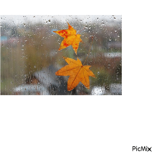 дождливый осенний день - Animovaný GIF zadarmo