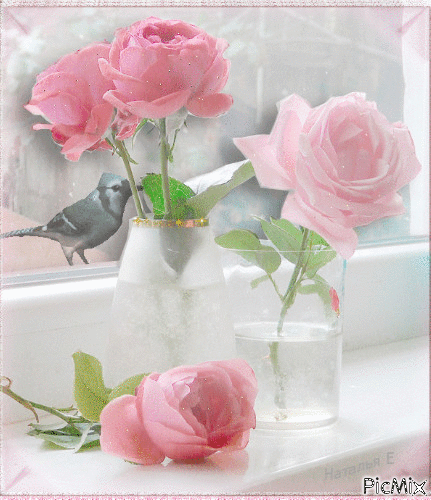Pink Roses and Bird - GIF animé gratuit