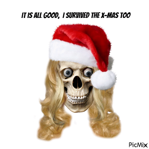 it is all good, I  survived X-Mas too - Gratis animeret GIF