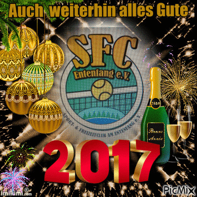 Silvester - Free animated GIF