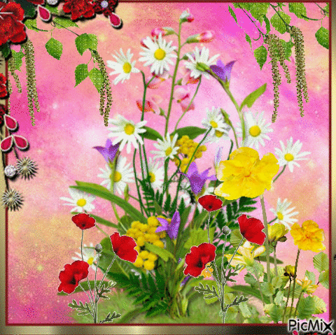 Fleurs des Champs - Free animated GIF