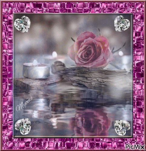 rose du soir - Безплатен анимиран GIF