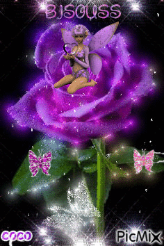fleur fée de coco - Darmowy animowany GIF