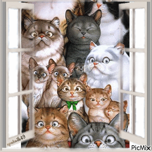 lustige Katzenfamilie - Бесплатни анимирани ГИФ