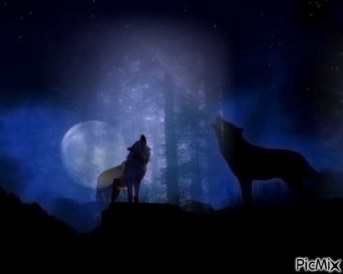 "Le loup en pleine lune" - 免费PNG
