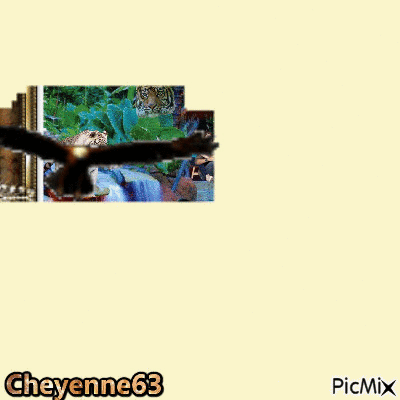 Cheyenne63 - GIF เคลื่อนไหวฟรี