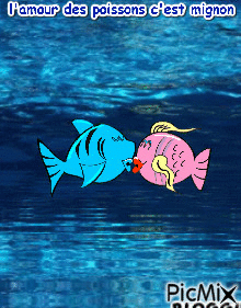 l'amour des poissons c'est mignon - Gratis animerad GIF