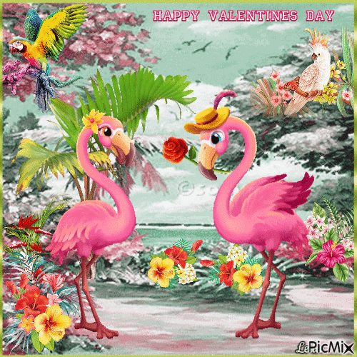 Happy Valentines Day. Tropical birds - GIF animado gratis