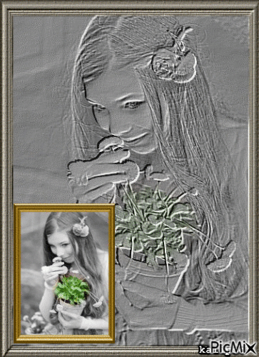 Girl and flower - Ingyenes animált GIF