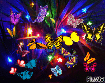 Les papillons - GIF animado grátis