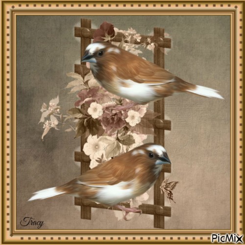Spring and birds - PNG gratuit