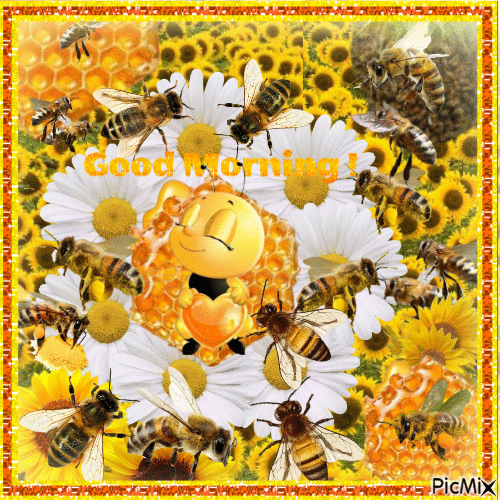 Good morning honey bee🐝 ! - Бесплатный анимированный гифка