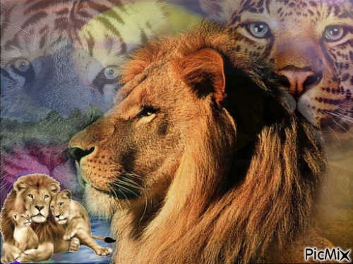 lions / tigres - zdarma png