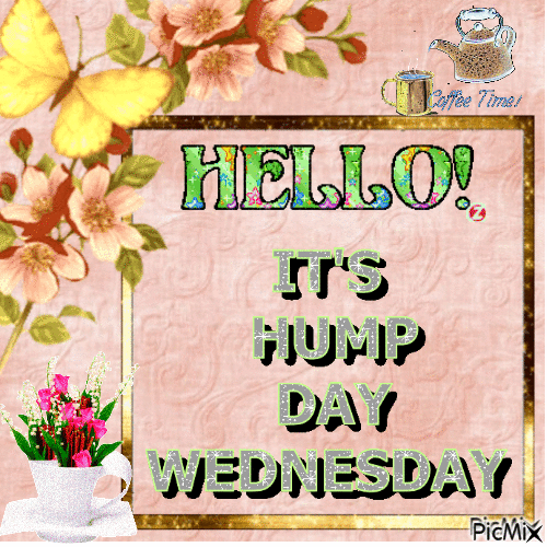 Hump Day Wednesday - Безплатен анимиран GIF