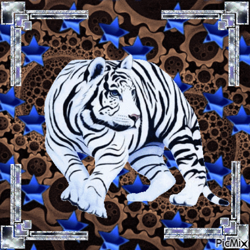 tigre - Gratis animeret GIF