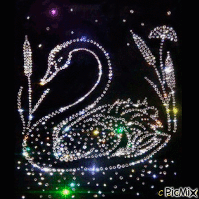 Cisne luminoso - GIF animado gratis