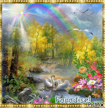 Paradise! ♣ - Ingyenes animált GIF