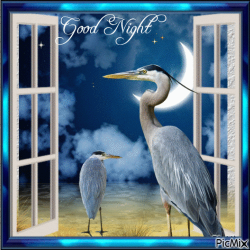 Good Night - GIF animé gratuit