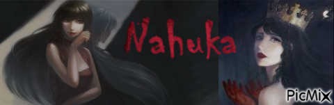 Bannière avec le pseudo : Nahuka - png gratis