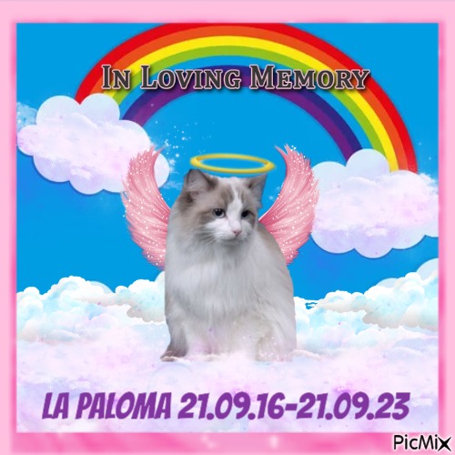L a Paloma - 免费PNG