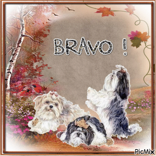 Bravo ! - Free animated GIF