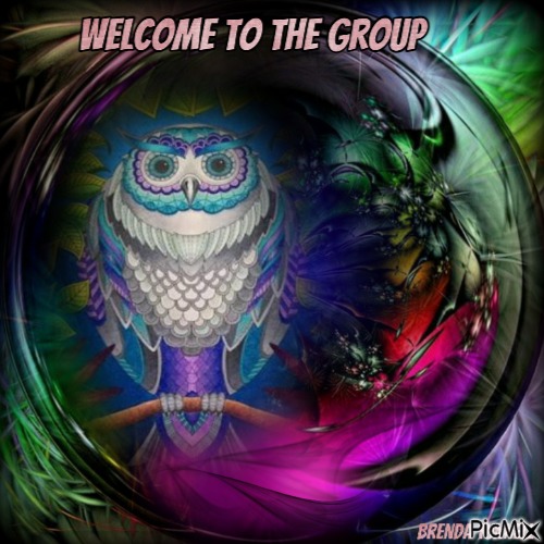 welcome owl - бесплатно png