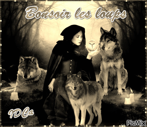 Bonsoir les loups - Бесплатни анимирани ГИФ