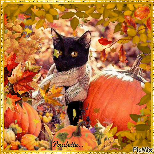 chat en automne - Free animated GIF