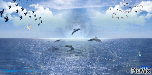 DOLPHIN SEA - GIF animasi gratis