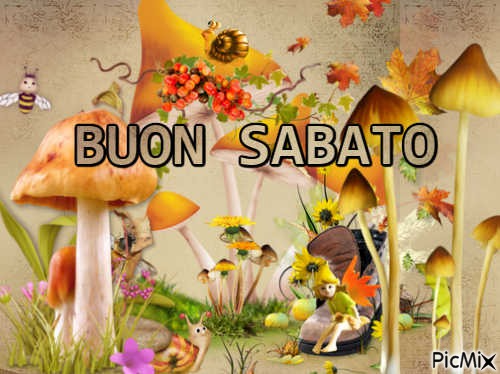 BUON SABATO - Free PNG