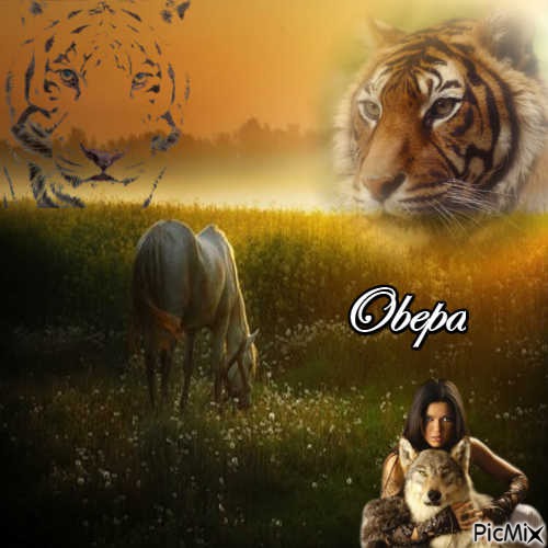 obepa - PNG gratuit