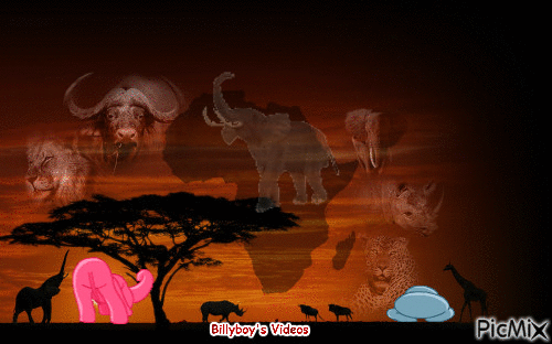 Baby Elephant - GIF animado gratis