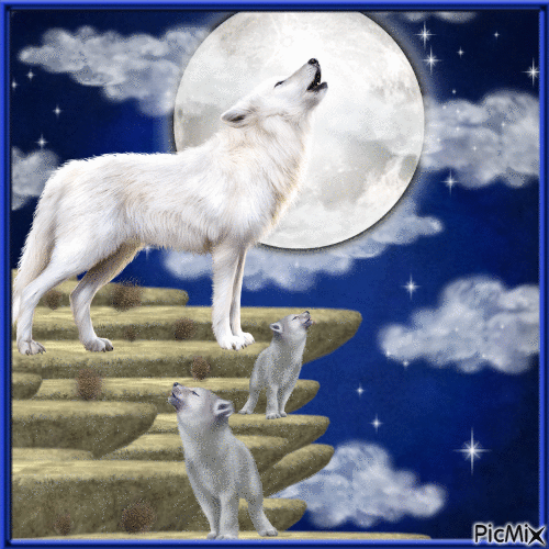 Wolves and Moon-RM - GIF animé gratuit