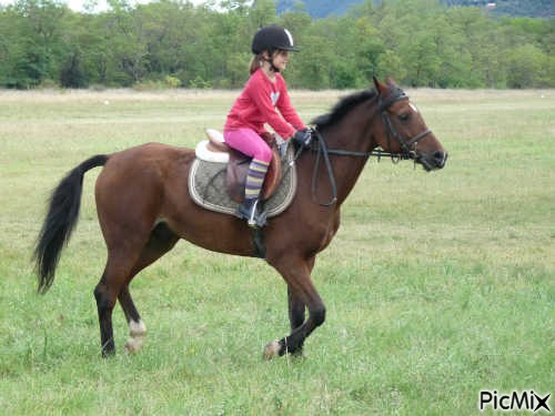moi et mon poney - nemokama png
